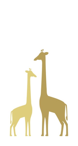 Illustration von zwei Giraffen