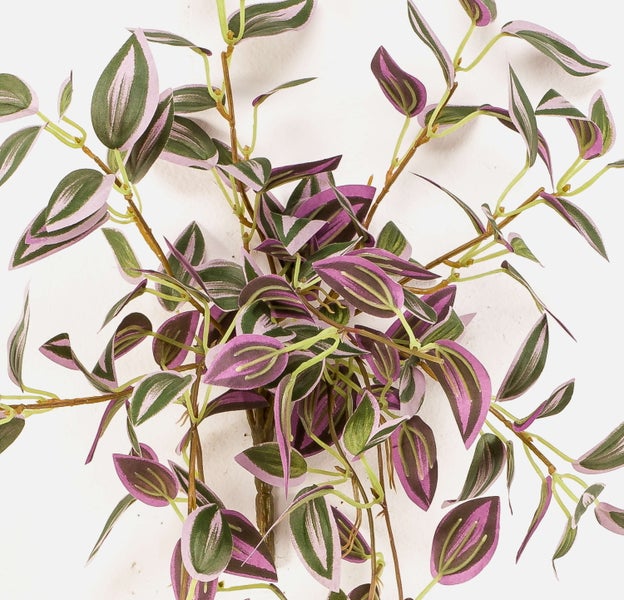 Künstliche Tradescantia Zebrina Hängepflanze mit grün-violett gestreiften Blättern.
