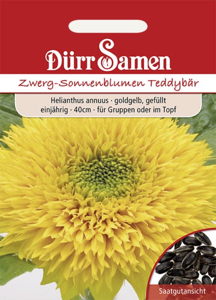 Dürr Samen Logo auf einer Samenpackung für Zwerg-Sonnenblumen Teddybär, 40 Zentimeter hoch, mit goldgelber gefüllter Blüte und Saatgutansicht.