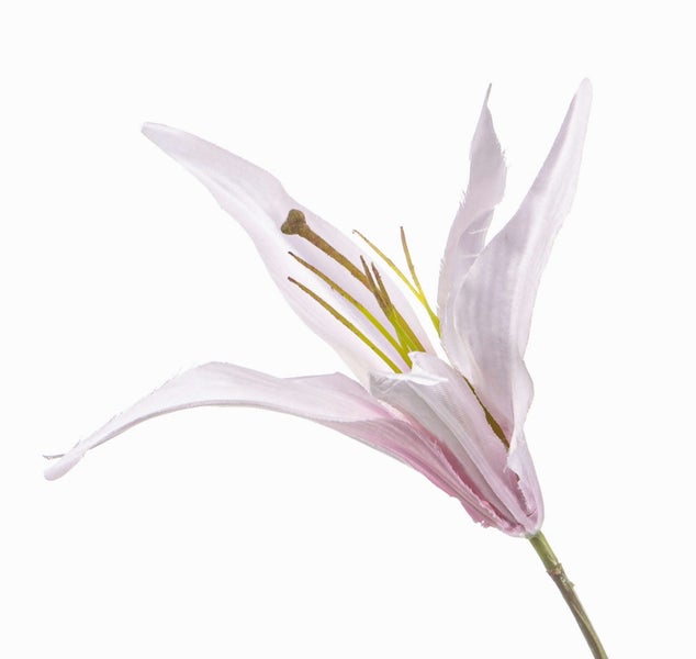 Künstlicher gelber Blauregen mit grünen Blättern und dunkelbraunem Zweig.