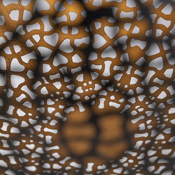 Nahaufnahme eines durchbrochenen, dekorativen Lampenschirms