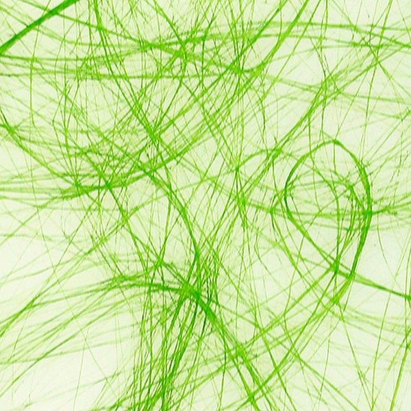 Abstrakte Darstellung grüner Linien