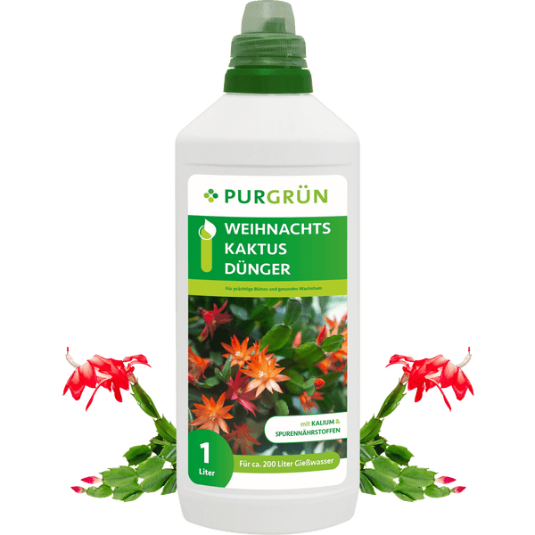 Purgrün Weihnachtskaktus-Dünger 1 Liter