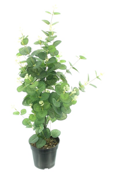 FRANK FLECHTWAREN | Topfpflanze Eukalyptus, KUNSTSTOFF, H: 65 cm