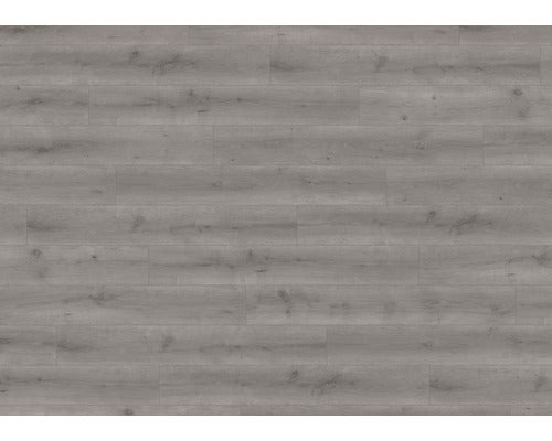 Bosch Expert Schleifblatt, Körnung P240, 115x280 mm, 10 Stück