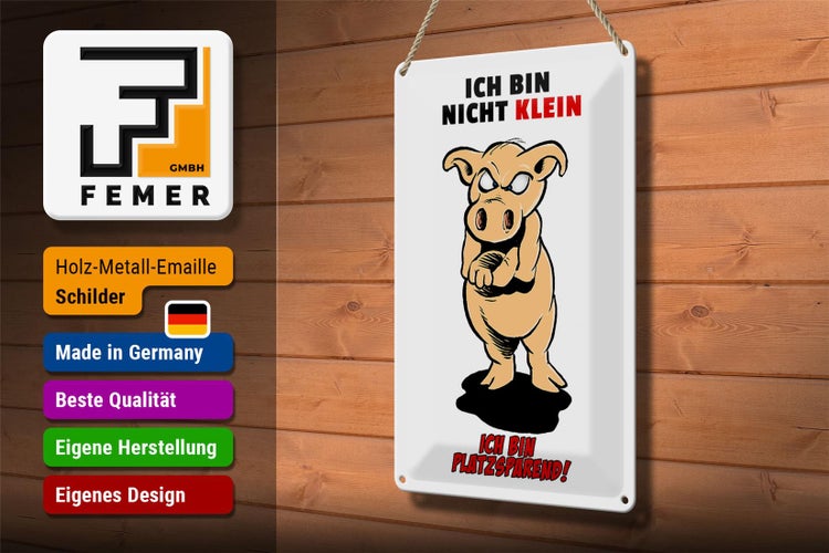 Blechschild Spruch 20x30cm Bin nicht klein bin platzsparend