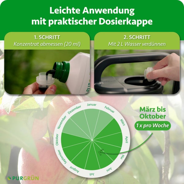 Infografik mit Wirkstoffen und Vorteilen von Purgrün Obstduenger fuer gesundes Pflanzenwachstum und reife Fruechte.
