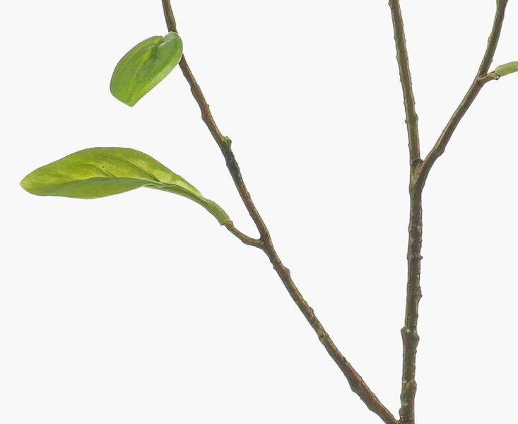 Künstlicher Zweig mit vier blauen Blüten und grünen Blättern.