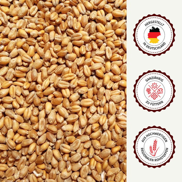 Nahaufnahme von Getreidekörnern mit den Siegeln Hergestellt in Deutschland, Ganzjährig zu füttern und Aus hochwertigen regionalen Rohstoffen