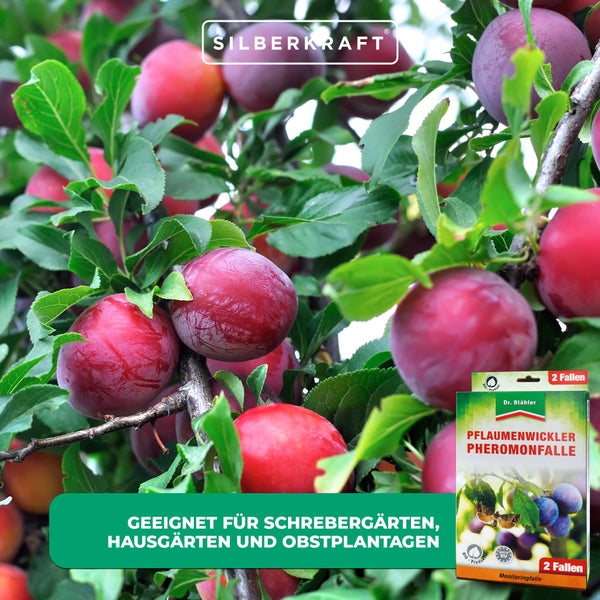 Pflaumenwickler Pheromon-Falle – Monitoringfalle zur Bekämpfung des Pflaumenwicklers – Ohne Insektizide – Für Hausgarten, Obstbaum & Plantage