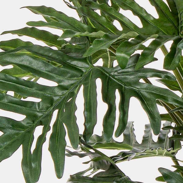 Nahaufnahme der grünen, tief eingeschnittenen Blätter eines künstlichen Philodendron selloum.