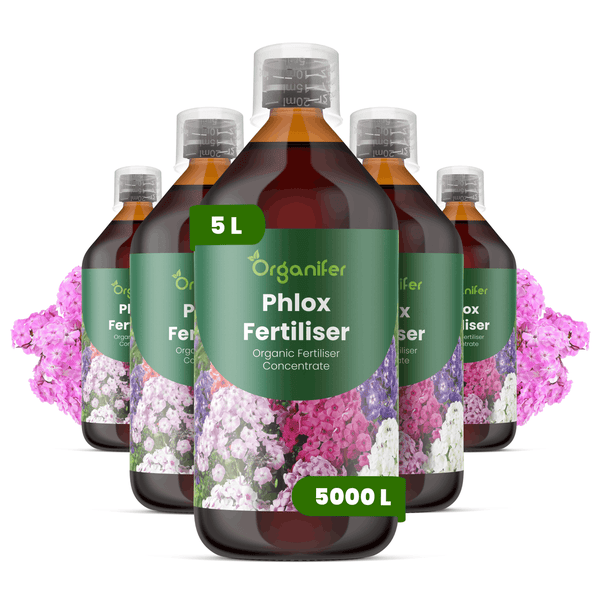 Set aus fünf Flaschen Organifer Phlox-Dünger, organisches Düngerkonzentrat, 5 Liter pro Flasche, ausreichend für 5000 Liter.
