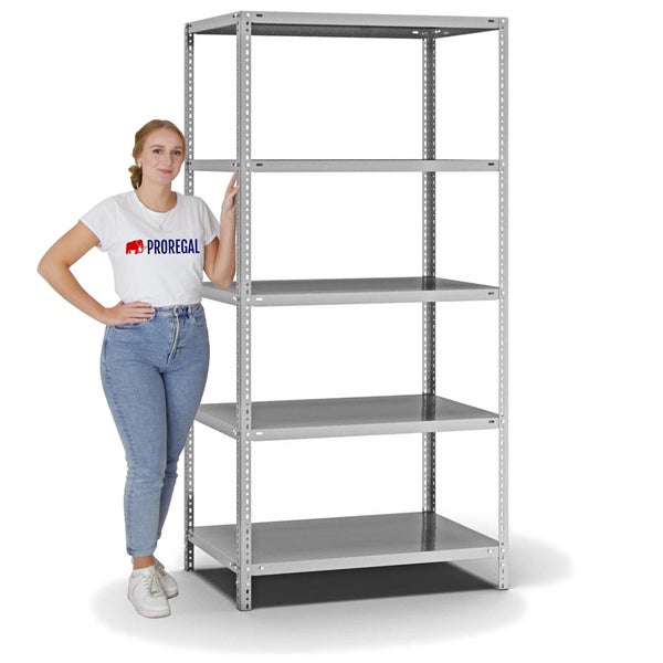 PROREGAL Fachbodenregal Schraubsystem Light-Duty Grundregal HxBxT 200 x 100 x 60 cm 5 Ebenen Fachlast 125 kg Beidseitig Nutzbar Verzinkt