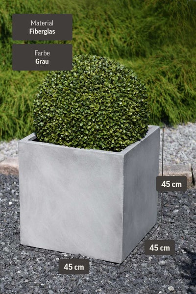 Quadratischer Pflanzkübel aus Fiberglas in Grau, Maße 45 mal 45 mal 45 Zentimeter, bepflanzt mit einer runden grünen Buchsbaumkugel.