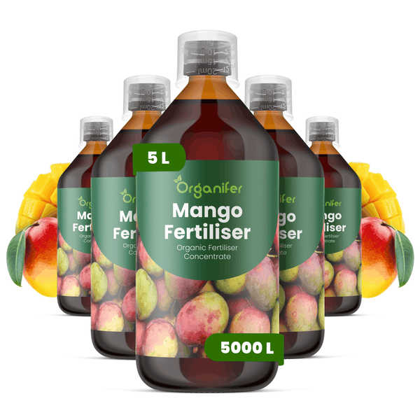 Organifer Mango-Dünger, organisches Düngerkonzentrat, 5 Liter in fünf Flaschen mit Messkappe, ausreichend für 5000 Liter Gießwasser.