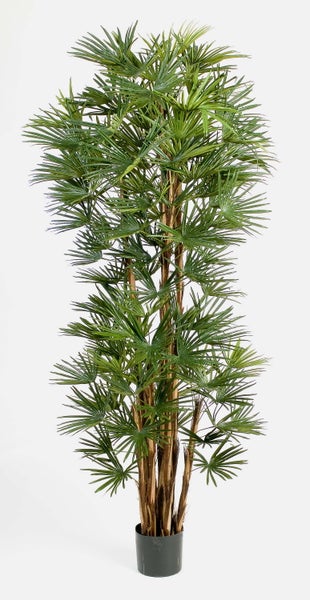 Künstliche Fächerpalme mit mehreren Stämmen in einem schwarzen Topf.