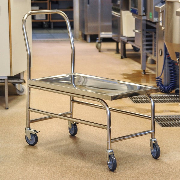 Edelstahl Transportwagen mit Griff und Rollen