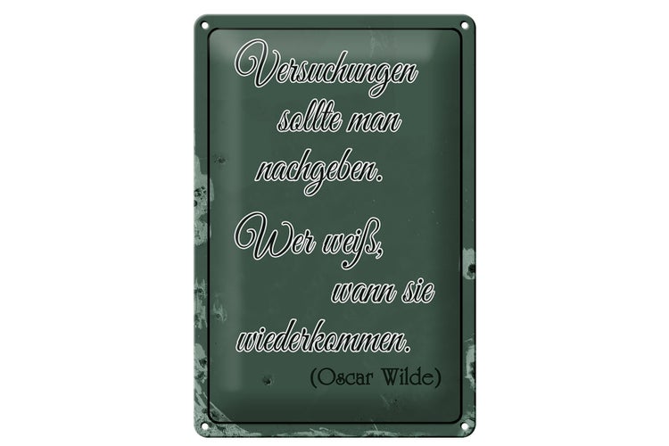 Blechschild Spruch 20x30cm Versuchungen soll man nachgeben