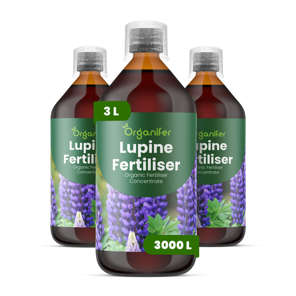 Drei Flaschen Organifer Lupinen-Dünger, organisches Düngerkonzentrat, 3 Liter Gesamtinhalt, ausreichend für 3000 Liter.