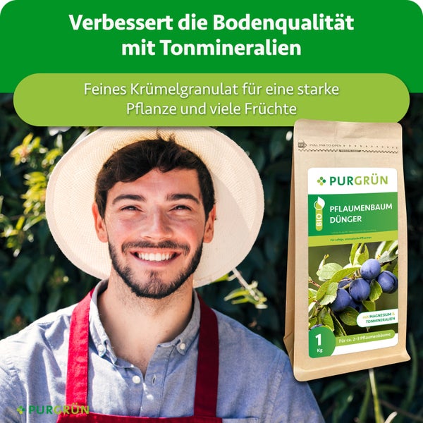 Ein glücklicher Gärtner mit einem Hut neben einer Packung Purgrün Pflaumenbaum Dünger mit Tonmineralien und Magnesium.