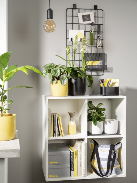 Scheurich Solido, Blumentopf aus Keramik,  Farbe: Ebano, 17,6 cm Durchmesser, 16 cm hoch, 3,1 l Vol.