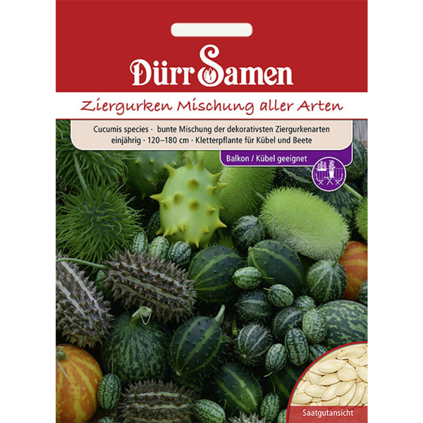 Szene mit runder Pendelleuchte, Tisch und Stühlen