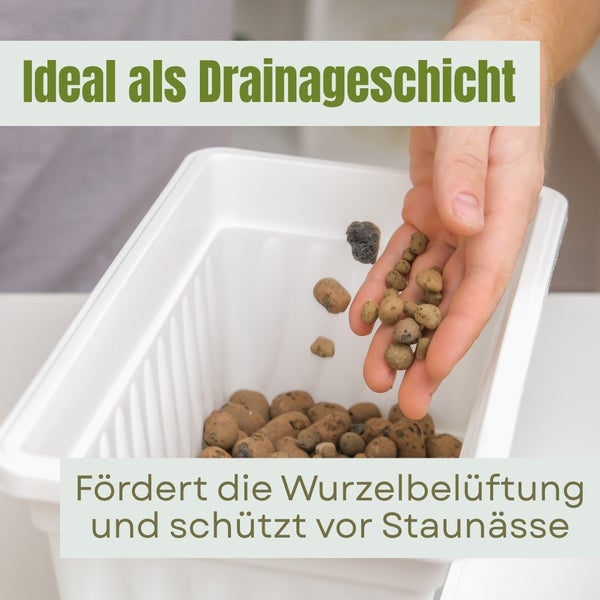 Blähton wird als Drainageschicht in einen Pflanzkasten gefüllt.
