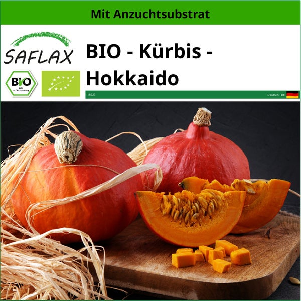 SAFLAX  - BIO - Kürbis - Hokkaido - Cucurbita maxima - 5 Samen - Mit keimfreiem Anzuchtsubstrat