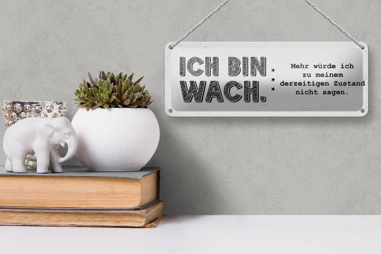 Blechschild Spruch lustig Zustand Ich bin wach 27x10cm Dekoration