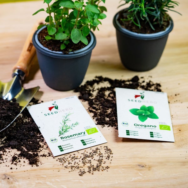 Bio-Kräutersamen für Rosmarin und Oregano mit passenden Kräuterpflanzen, einer Handschaufel und Erde auf einer Holzoberfläche.