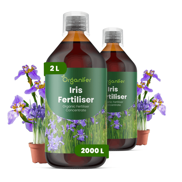 Zwei Flaschen Organifer Iris Dünger, organisches Düngerkonzentrat, jeweils zwei Liter, mit Messkappe und Schwertlilien.