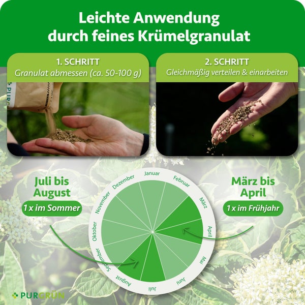 Anwendungshinweise für Düngergranulat mit Dosierungsschritten und Kalender für die Ausbringung im Frühjahr und Sommer sowie Purgrün Logo.