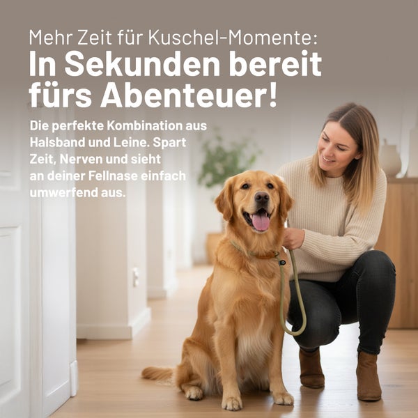 Eine Frau kniet neben einem Golden Retriever in einem hellen Flur und legt ihm eine Kombination aus Halsband und Hundeleine an.