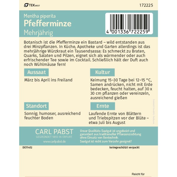 Pfefferminze mehrjährig & wüchsig Samen von Pabst Keimkraft