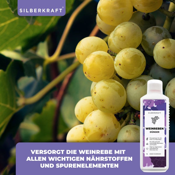 SILBERKRAFT Weinreben Bio-Dünger – 1 Liter