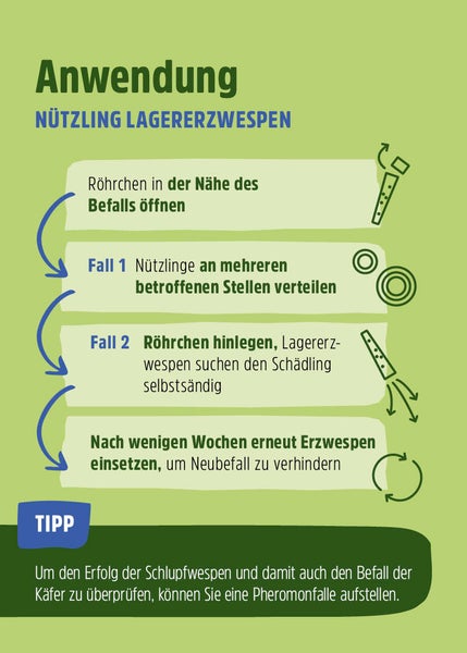 Schlupfwespen - Lagererzwespen gegen Brotkäfer, Tabakkäfer & Kugelkäfer