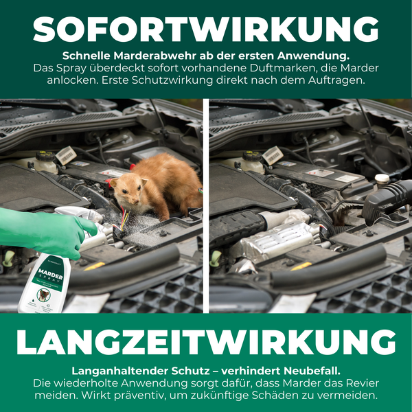 Silberkraft Marderspray 500ml, Effektiver Sofort- & Langzeitschutz gegen Marder im Auto, Dachboden & Haus, Verhindert Marderbisse an Kabeln & Schläuchen , Überdeckt Duftmarken für nachhaltige Abwehr