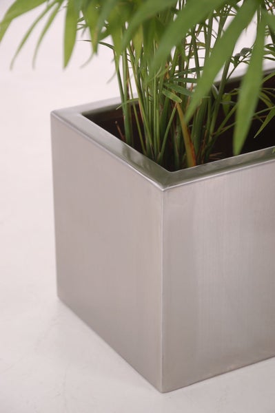 Quadratischer Pflanzkübel aus gebürstetem Edelstahl mit einer grünen Zimmerpflanze.