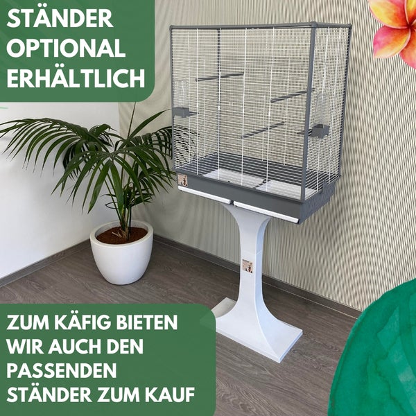 Vogelkäfig auf Ständer im Raum mit Zimmerpflanze