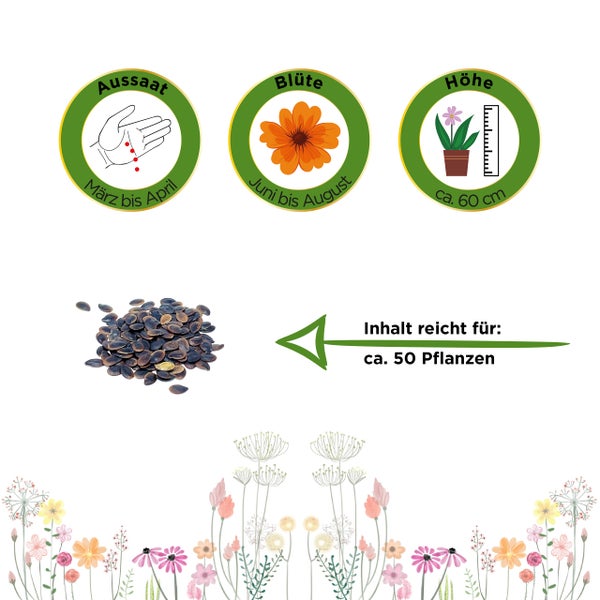 Pflanzensamen mit Symbolen: Aussaat März bis April, Blütezeit Juni bis August, Wuchshöhe circa 60 Zentimeter, Inhalt für circa 50 Pflanzen.