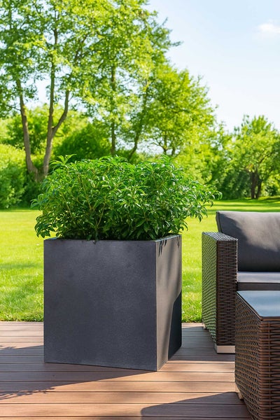 Quadratischer Pflanzkübel in Anthrazit mit grüner Pflanze auf einer Holzterrasse neben Gartenmöbeln im sonnigen Garten.