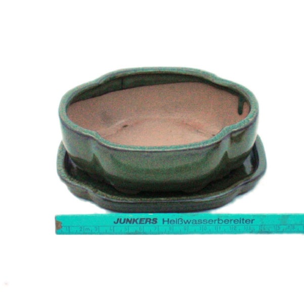 Grüne Bonsaischale mit Untersetzer aus glasierter Keramik, circa 15 Zentimeter lang, ovale geschwungene Form.