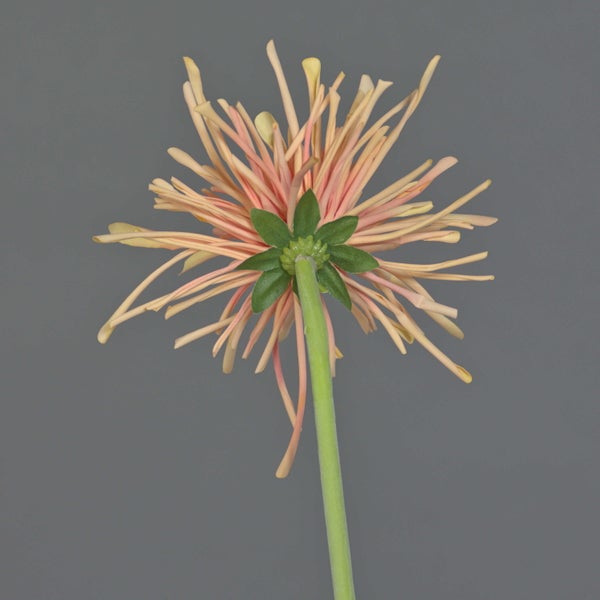 Künstliche Gerbera Spinne in Orange und Rot mit grünem Stiel.