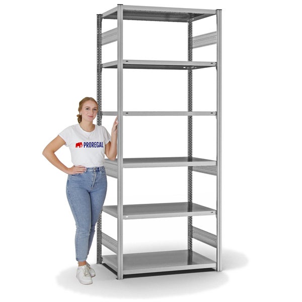PROREGAL Fachbodenregal Stecksystem T-Profil Medium-Duty Grundregal HxBxT 250 x 100 x 60 cm 6 Ebenen Fachlast 240 kg Beidseitig Nutzbar Verzinkt