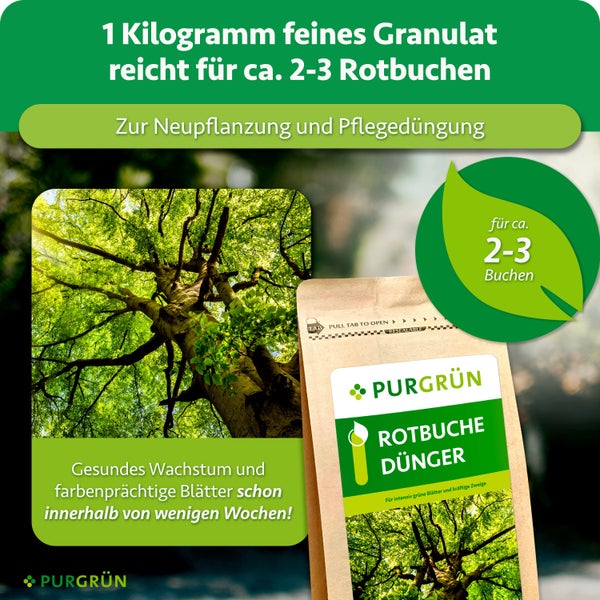 Purgrün Rotbuche Dünger in einer wiederverschließbaren Packung zur Neupflanzung und Pflegedüngung für kräftige Pflanzen.
