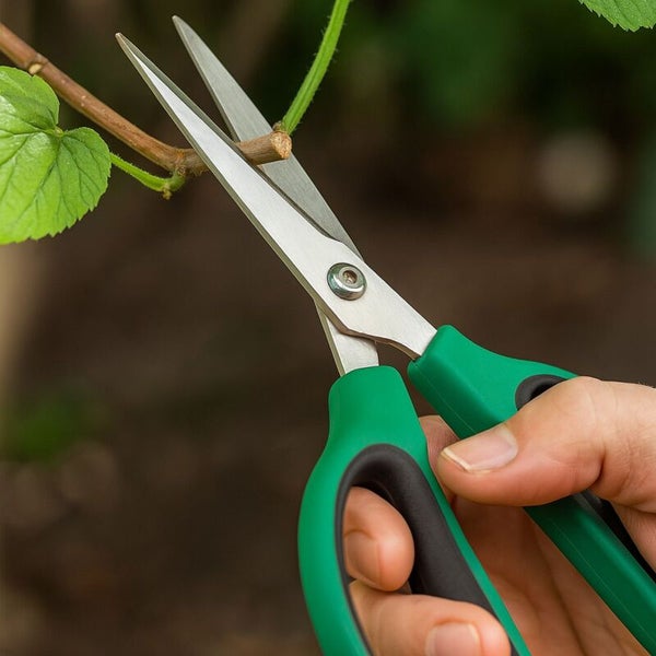 Gartenarbeit: Hand schneidet Ast mit Gartenschere