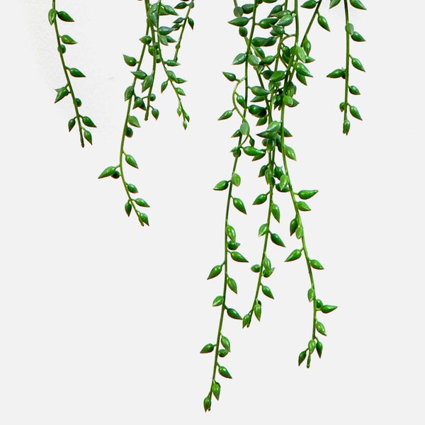 Künstliche Hängepflanze Senecio mit grünen ovalen Blättern an herabhängenden Trieben.