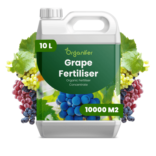 Organifer Traubendünger Bio Konzentrat in einem 10 Liter Kanister für 10000 Quadratmeter zur Pflege von Weinreben.