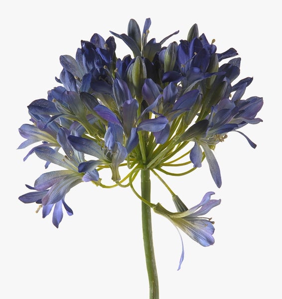 Künstliche Schmucklilie Agapanthus Blütenkopf mit blauen Textilblüten und gelben Pollen.