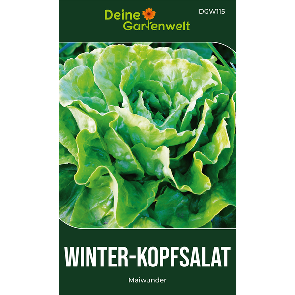 Samentüte für Winter-Kopfsalat Maiwunder von Deine Gartenwelt.